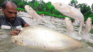 Nice! Best Polo Festival Fishing | Amazing Big Fish Hunting | Awesome Fish Jump