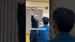 左 受流 Hidari Ukenagashi: Shinkage Ryu Hōgan Ha