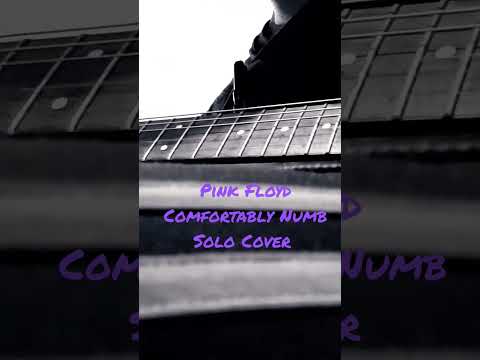 Pink Floyd Comfortably Numb Solo Cover - YouTube