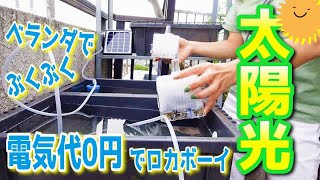 【めだか】ソーラーポンプを設置してベランダでエアレーションをしよう（電気代0円でロカボーイを設置）