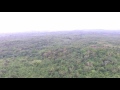 Margibi Forest, Liberia