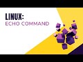 Echo Command || Bash Scripting || Shell Scripting || By Designer Code