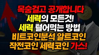 목숨걸고 공개합니다 세력의 모든 것! 세력 털어먹는 방법  [비트코인분석 알트코인 작전코인 세력코인 가스]