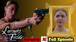 Lavender Fields January 16 Advance Full Episode 99/Story Telling #lavenderfields