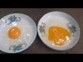 বীজ ডিম চেনার উপায় how to identify fertile chicken eggs