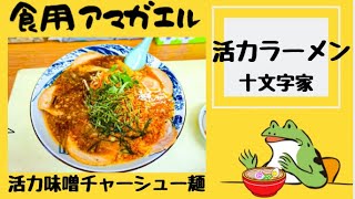 【活力ラーメン十文字家】十文字ラーメン激戦区に長年あるお店で『活力味噌チャーシュー』と『活力醤油めん』『活力餃子』をを食す‼️