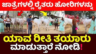 How farmers prepare bulls for committee in fairs 👉 Kengal Cattle Fair/ Hallikar