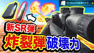 【CoD:MW】新SR 限定弾『炸裂弾』追加! 破壊力絶大でキルストを1発で壊すwwww【ハセシン】