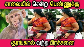 சாலையில் சென்ற பெண்ணுக்கு குரங்கால் வந்த பிரச்சனை | Tamil Cinema News Kollywood News