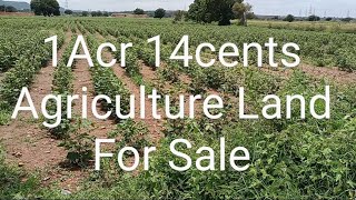 TM:27  1Acr 14cents Agriculture Land for Sale. 964-260-4777