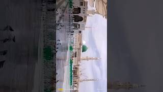 Madina sharif Live haj video new WhatsApp status || #shortvideo  #islamic #shorts #ytshort