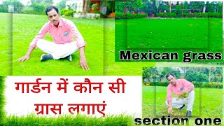 गार्डन में कौन सी घास लगाएं || Best Grass For Your Garden