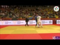 Judo 2013 Grand Prix Tashkent: Vasylenko (UKR) - Ott (AUT) [-81kg] rep