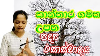 කාන්තාර ගමක උපත | පද්‍ය රසාස්වාදය | Kanthara Gamaka Upatha | 10/11 ශ්‍රේණි | රසාස්වාදය