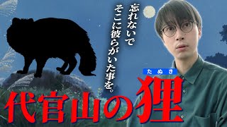 【03:目撃】おしゃれな街「代官山」でたぬきを見た金田哲