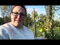 fall herb growing herbs that are still growing in october