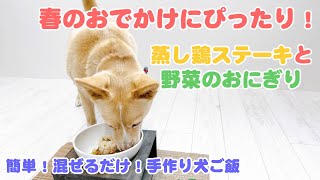 【簡単手作り犬ご飯】春のおでかけにぴったり！蒸し鶏ステーキと野菜のおにぎり【帝塚山ハウンドカム】