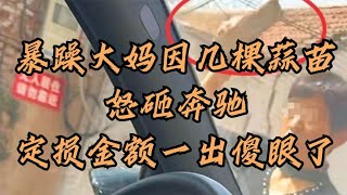 闹大了！暴躁大妈因几棵蒜苗怒砸奔驰，定损金额一出傻眼了！