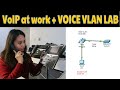 VoIP Basics | Real world implementation | Voice VLAN configuration(Packet Tracer)