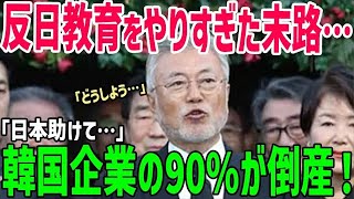 【総集編】K国が反日教育に力を入れすぎた結果…10年間で90％の韓国企業が倒産！韓国経済崩壊の危機【海外の反応】