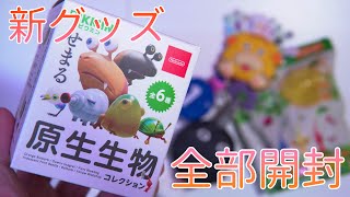 せまる原生生物フィギュア！？発売されたばかりのピクミン新グッズを、一気に開封していく！！