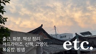 [etc.VLOG]디자이너 일상 브이로그 | 디자인스튜디오 4년차, 출근, 밥, 야근, 데이트