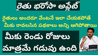 ysr rythu bharosa updates|inputsubseed updates|rythu bharosa ekyc|E-crop|vuchitha pantala bima|