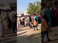 mela bodiawala _ shorts mela darbar tandlianwala trending viralvideo foryou