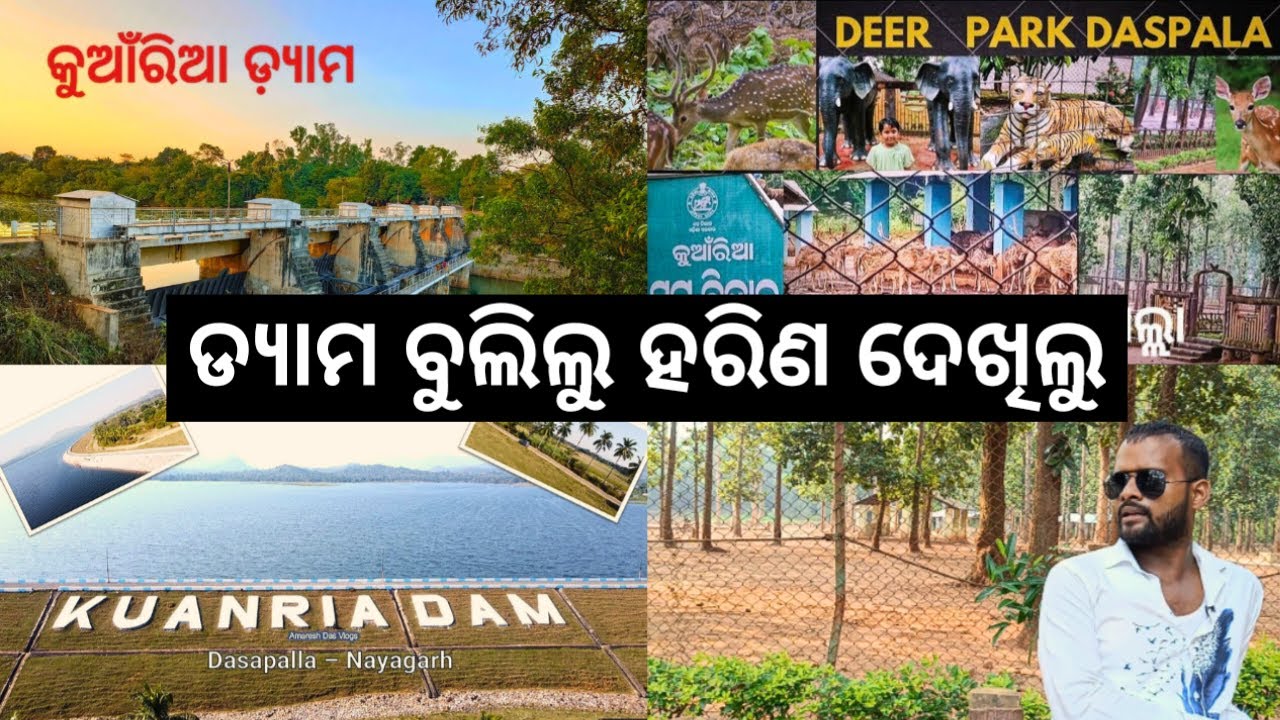 କୁଆଁରିଆ ଡ୍ୟାମ ଦେଖିଲୁ ଦଶପଲ୍ଲା ରେ ହରିଣ ପାର୍କ ଦେଖିଲୁ | KUANRIA DAM ...