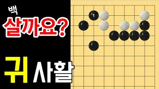 실전에 가장 많이 나오는 귀사활 #9 (한칸협공 화점정석 사활)