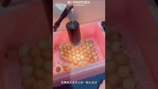 【蘆丁與牠們的產地】如何自製孵蛋器