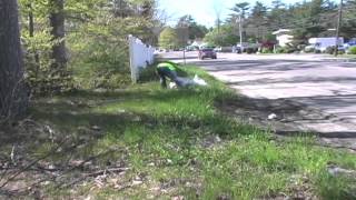 Annual Wareham Cleanup.mov