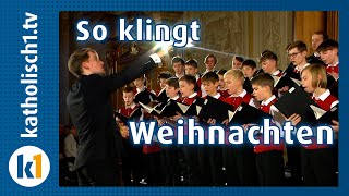 Konzert der Augsburger Domsingknaben