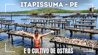 ITAPISSUMA PE - O principal cultivo de ostras do estado e a famosa caldeirada.