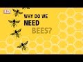 Why do we need bees?