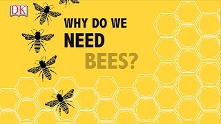 Why do we need bees?