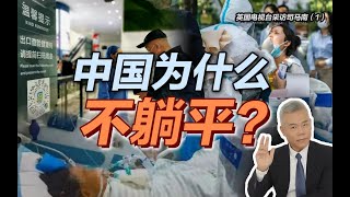 英国电视台采访司马南（1）中国为什么不躺平？