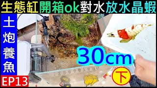 (土炮養魚EP13) 30cm立方型生態缸開箱ok／對水放水晶蝦魚【30cm超白玻璃生態缸開箱／下集】白同學養蝦DIY