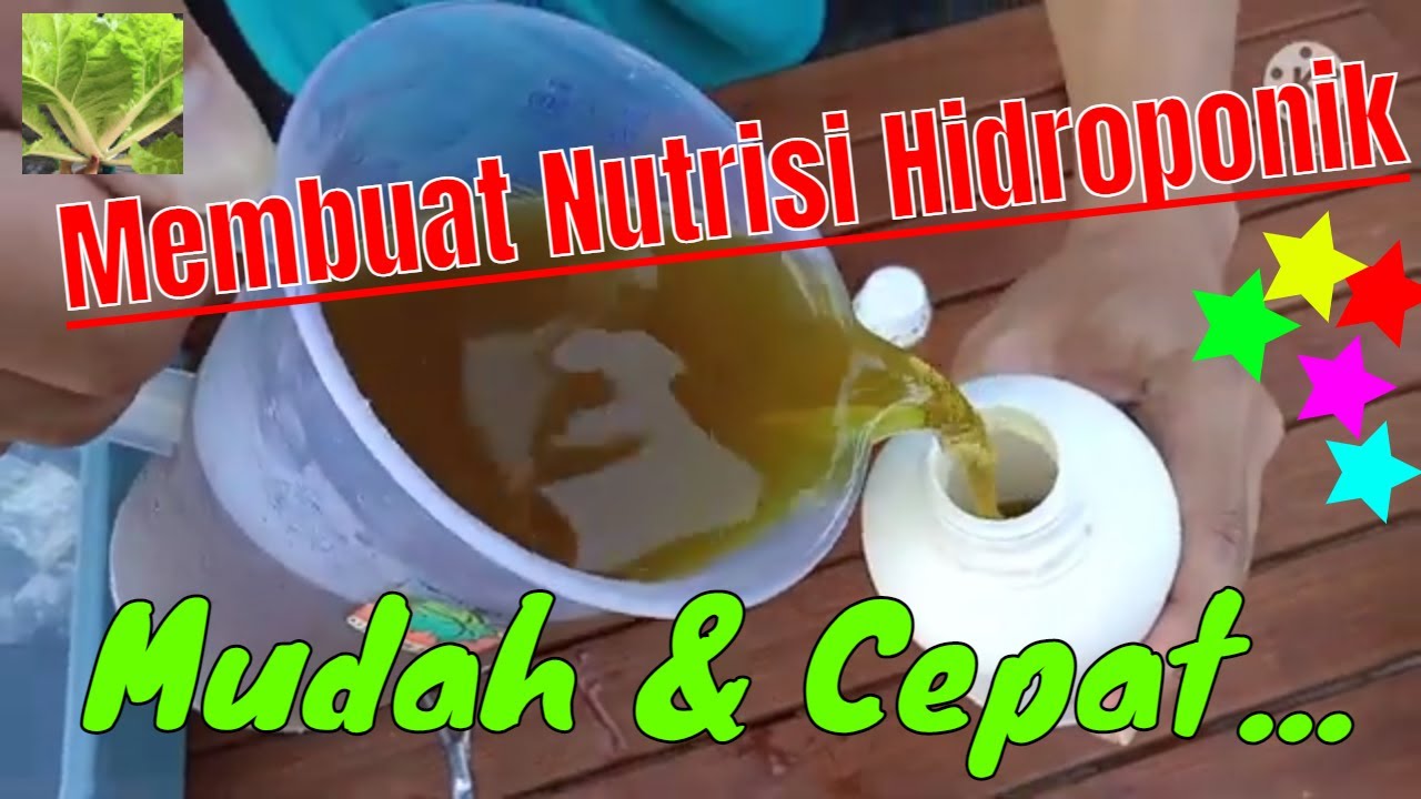 Cara Membuat Nutrisi Hidroponik Sendiri - YouTube