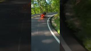 Harley Riders Crash