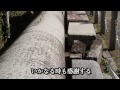 神社　片足鳥居　山王神社 　被爆クスノキ　福山雅治