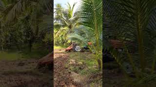 Tafe ටැක්ටරයෙන් බිම් සැකසීම🚜🚜l Land preparation with Tafe tractor l Best Tractor Farmer#tafe #shorts