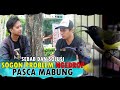 SEBAB DAN SOLUSI SOGON PROBLEM NGEDROP PARAH SETELAH MABUNG||Sharing pengalaman Mas Arif Kere Kemaki