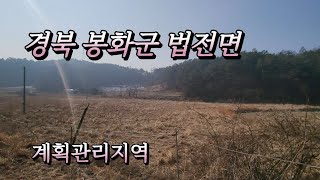 [매물번호 310] 봉화군 법전면 계획관리지역 9286㎡ (2809평) |영주옥토부동산 054.631.6100