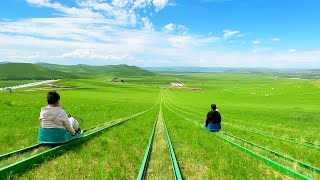 Unbelievable Grass Slide in China Inner Mongolia