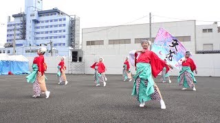 さくらYOSAKOI 天花 @ ヤートセ秋田祭 (大町ステージ会場/前祭) 2019-06-22T14:12