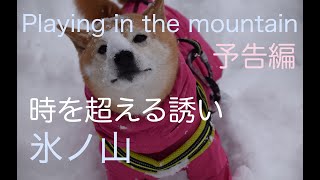 【氷ノ山山麓の歴史を辿る旅】2023年から2024年にかけて私たちは兵庫県北部、鳥取県との県境氷ノ山に何度か通いました。四季を通した日本三百名山の氷ノ山⛰️その魅力をお伝えできたら嬉しいです♪