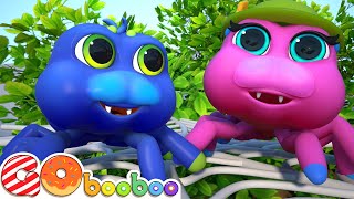 Itsy Bitsy Spider | Animal Songs | GoBooBoo Nursery Rhymes & Kids Songs