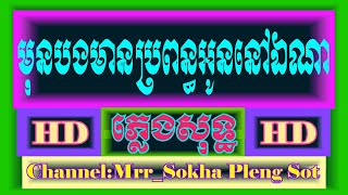 មុនបងមានប្រពន្ធអូននៅឯណា ភ្លេង​សុទ្ធ | Where did you have your wife before | Cover By | PSR-S950