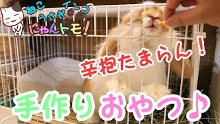 うさぎのおやつを簡単に手作り♪これで買わなくて済むっ！ - Let's make a snack of rabbits easily.